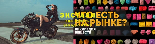 эйфоретик Богданович