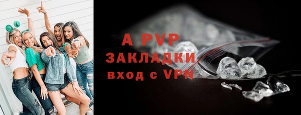 эйфоретик Богданович