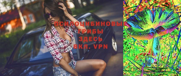 эйфоретик Богданович