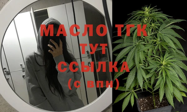 эйфоретик Богданович