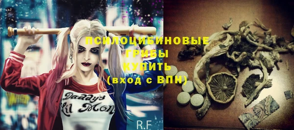 эйфоретик Богданович