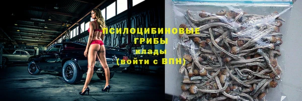 хмурый Богородицк