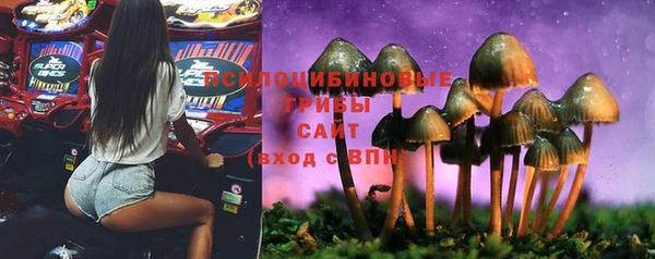 эйфоретик Богданович