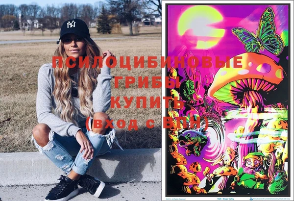 эйфоретик Богданович