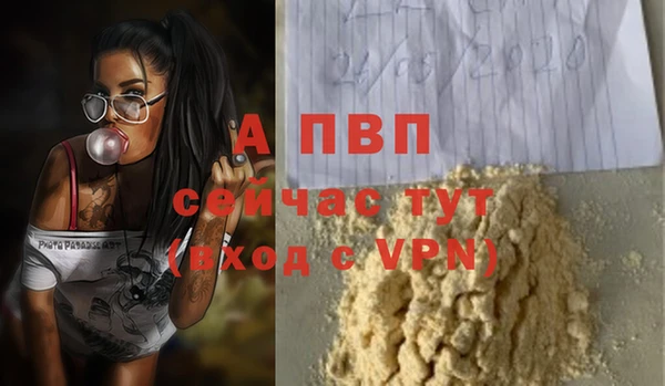 хмурый Богородицк
