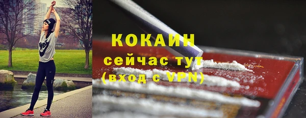 крисы Богородск